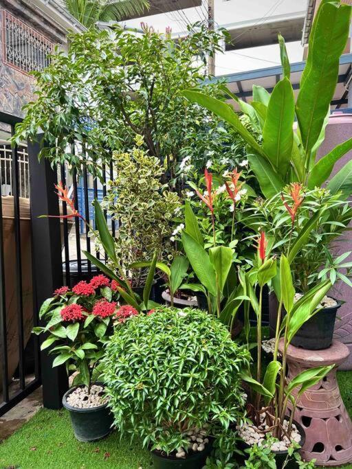 5br House Btsnana Nanaplaza Center Mbk Center World Bangkok